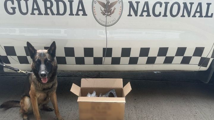 Gabinete de Seguridad catea inmuebles y detiene a peligrosos sujetos