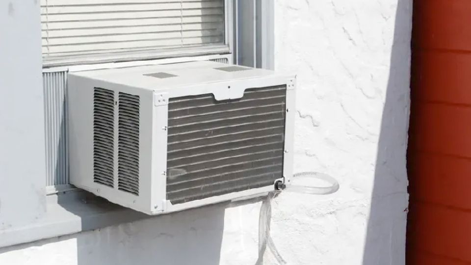 Especie de enfriamiento en extinción