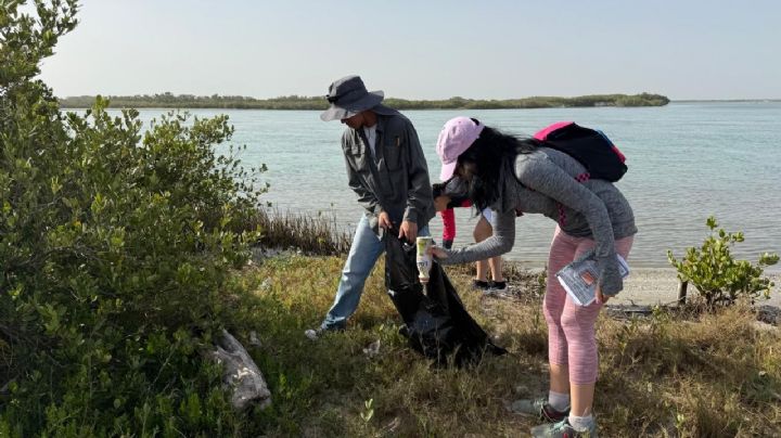 Colabora la UAT en la conservación del mangle en el litoral tamaulipeco