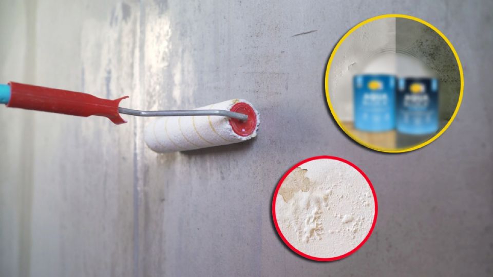 Olvídate de las paredes con la pintura botada o con la humedad que provoca enfermedades con esta buena solución