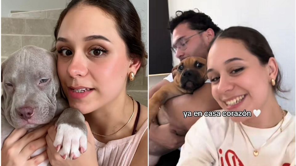 'Errorcito', la historia del perrito que fue intercambiado en aerolínea mexicana