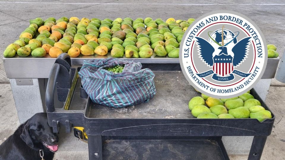 Estos son los artículos prohibidos y permitidos por CBP