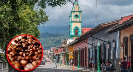 En este Pueblo Mágico puedes tomar el mejor café de México; muy pocos conocen su ubicación