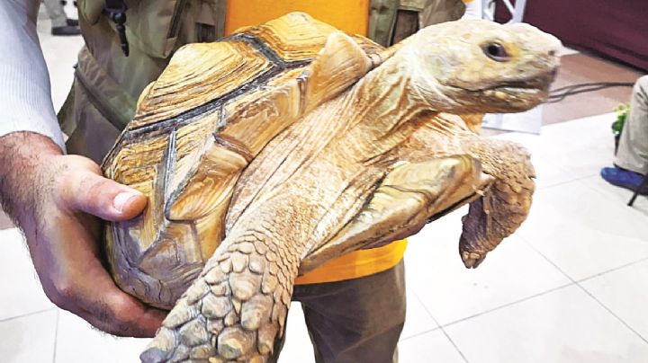 Muestran proyectos para cuidar el planeta y el medio ambiente en Nuevo Laredo