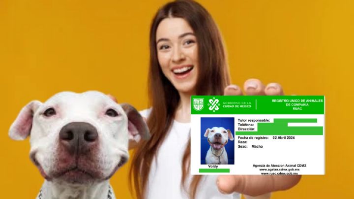 'CURP' para mascotas: fuertes multas y arrestos para quienes no tramiten el documento