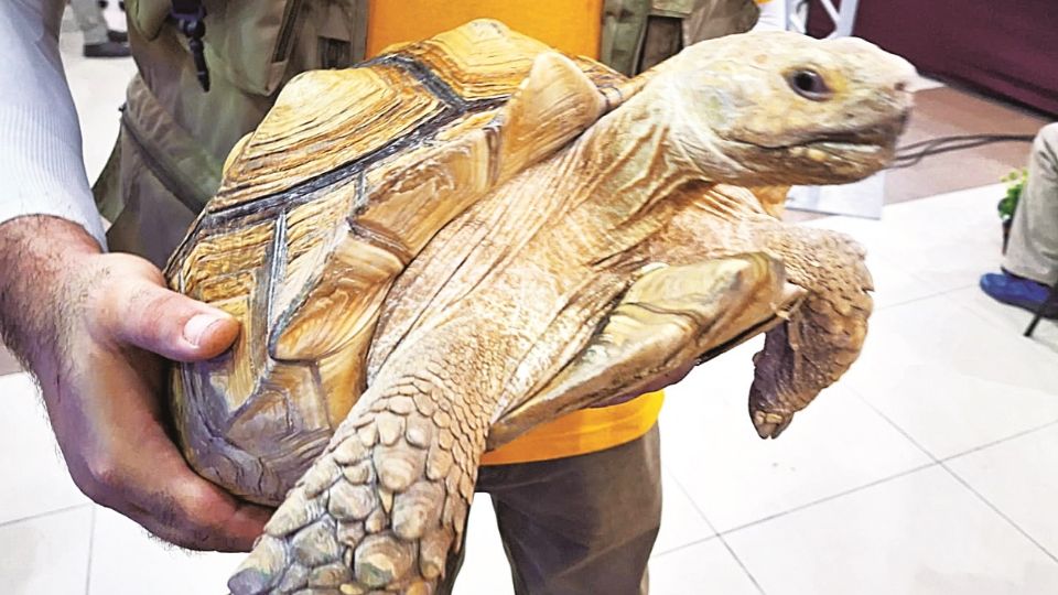 Se presentaron proyectos sustentables.