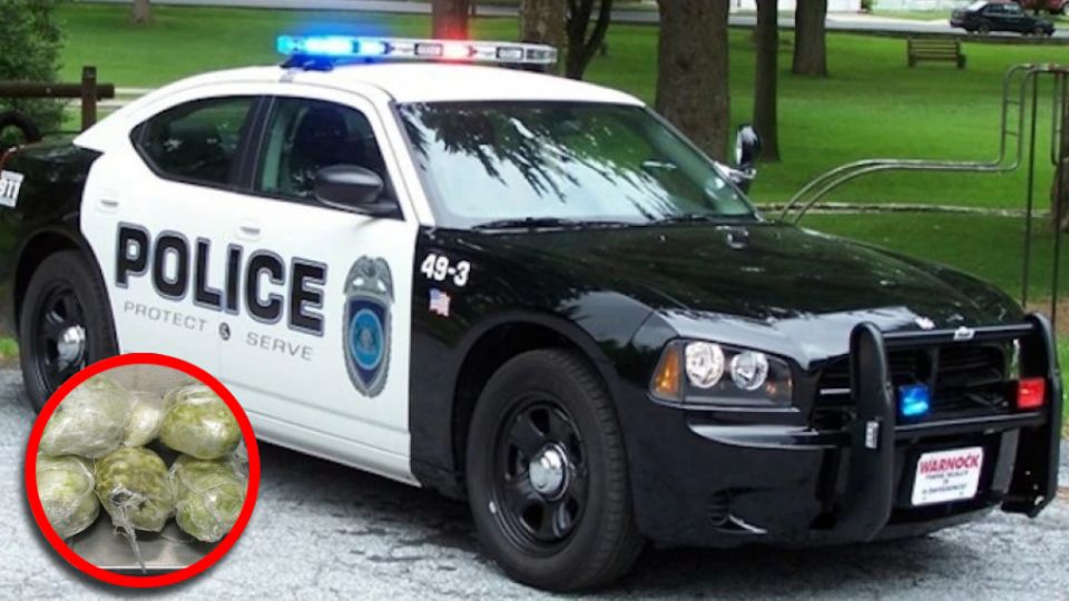 Los federales estimaron la carga de droga en 2.8 millones de dólares en este decomiso