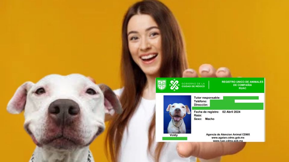 Ahora las mascotas tendrán su propia identificación