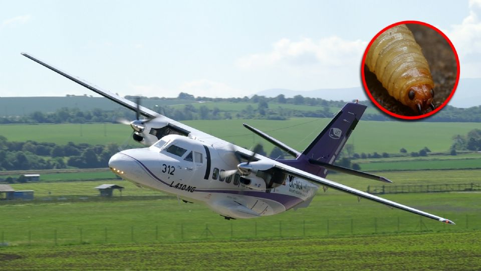 Tanto el piloto como el copiloto perecieron en este accidente aéreo que enlutó a dos familias