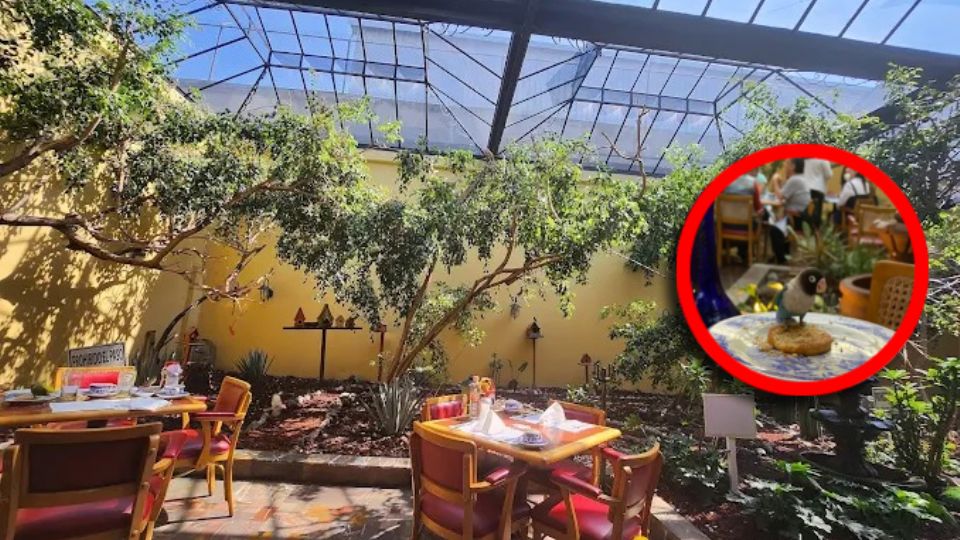 En el Sanborns de los Pajaritos no solo se desayuna: se vive una experiencia