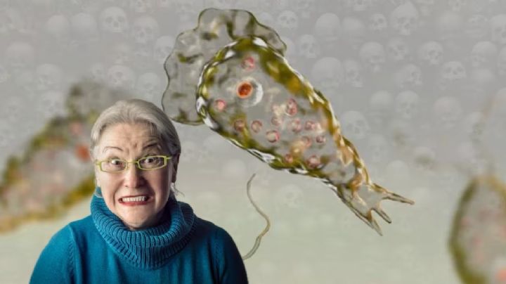 Texas: abuelita muere por bacteria 'comecerebros'; de esta manera se infectó