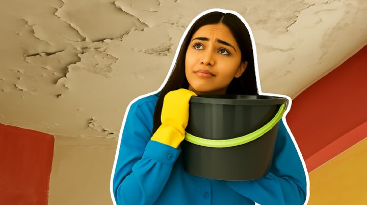 Albañiles recomiendan el mejor sellador para grietas y goteras; no necesitarás impermeabilizante