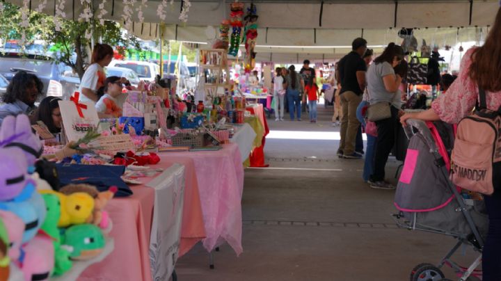 Parque Viveros se llena de color con el Bazar Summer: todo listo para apoyar a emprendedores
