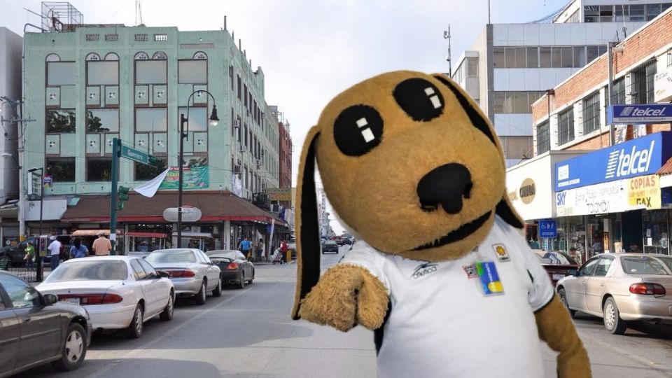 Wisin, el perrito luchador.