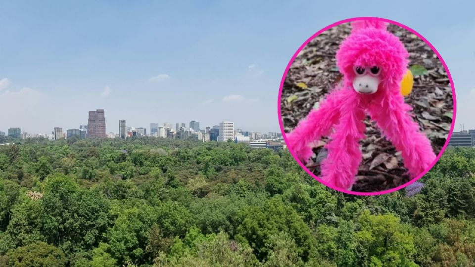 México tiene un parque que mide el doble que Central Park en Nueva York