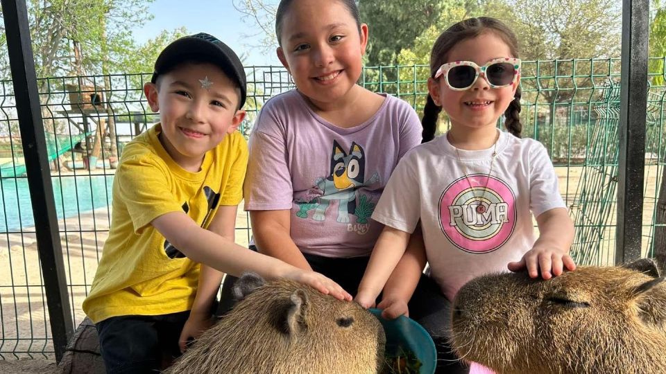 Los niños podrán convivir con los capibaras.
