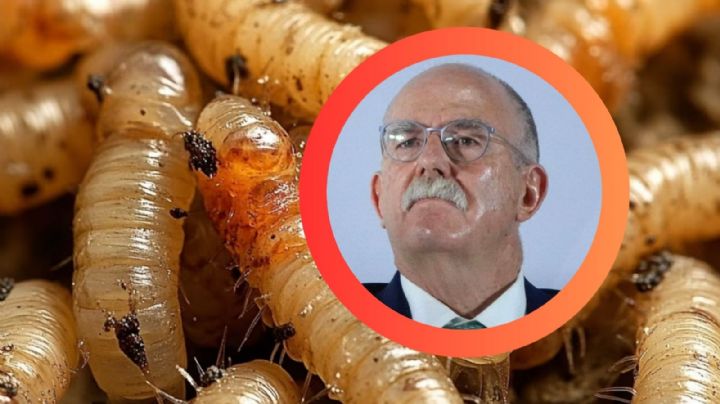 'No tomen a México como piñata': Berdegué pide respeto en control del gusano barrenador con EU