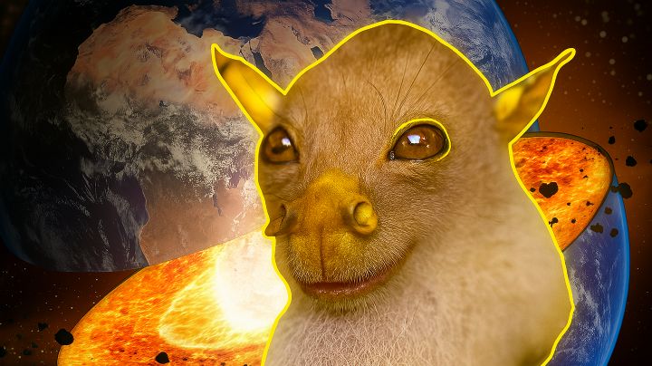 Estos cuatro animales mexicanos son tan extraños y poco conocidos que parecen de otro planeta