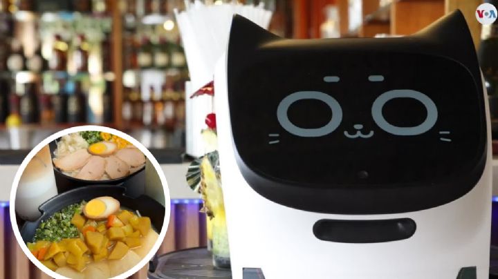 Misu, la gatita robot que te sirve tu comida en Escobedo; se puede comunicar con los clientes | VIDEO