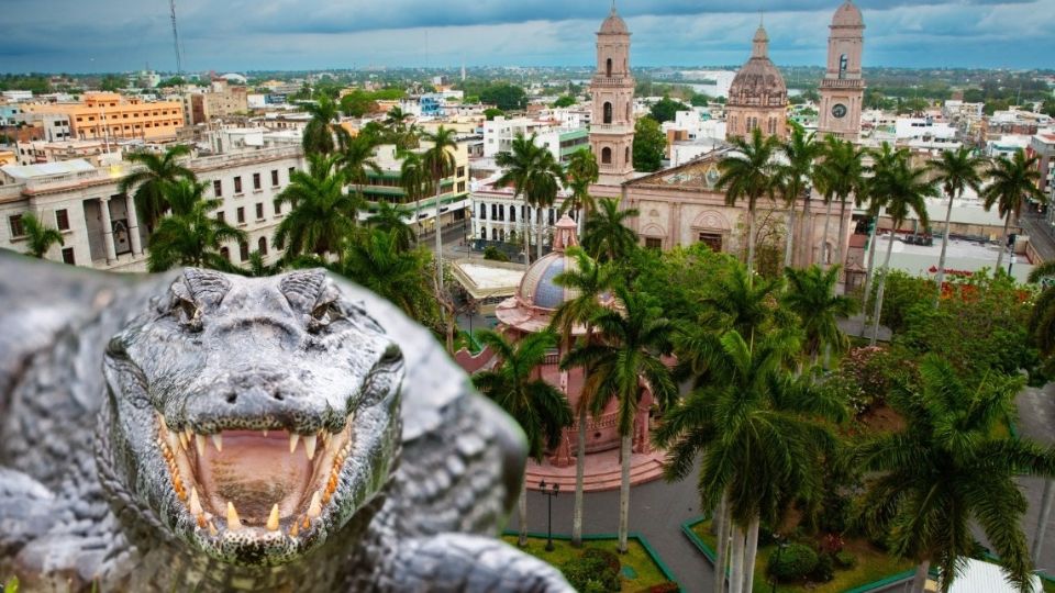 Cocodrilos en Tamaulipas.