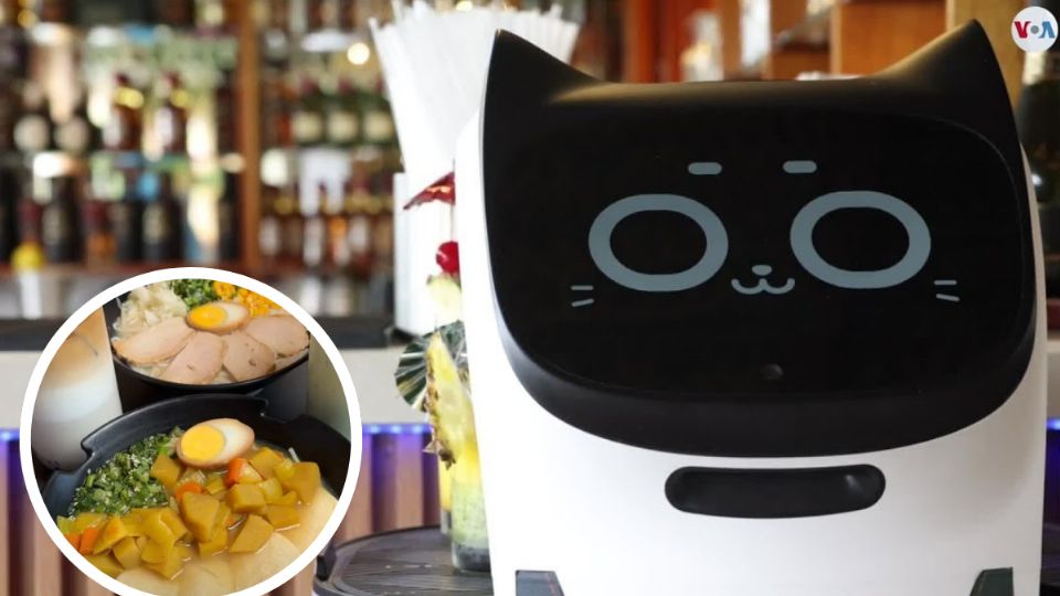 Este peculiar mesero te lleva la comida