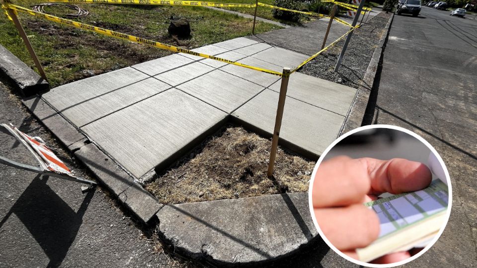 Esta acción provocará fuertes multas en Nuevo Lareo