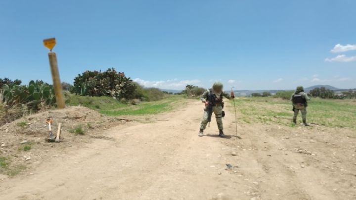 Aseguran armas y sustancias ilegales en varios estados; Gabinete de Seguridad trabaja día y noche