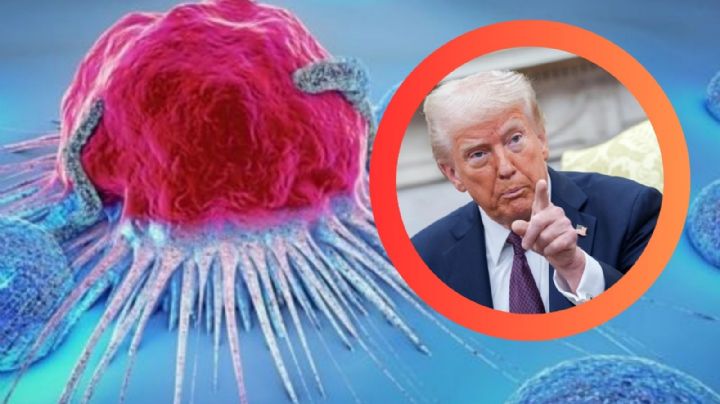 Esta medida de Trump podría provocar 14 millones de muertes de aquí al 2030, según un informe