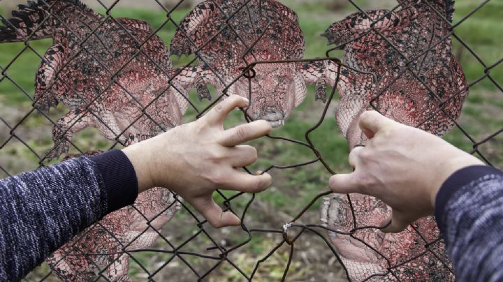 Así es por dentro 'Alcatraz Alligator', la nueva cárcel para detener a migrantes | VIDEO