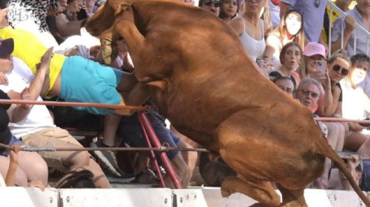 Toro 'vuela' sobre la barrera y embiste a la multitud; hay dos heridos | VIDEO