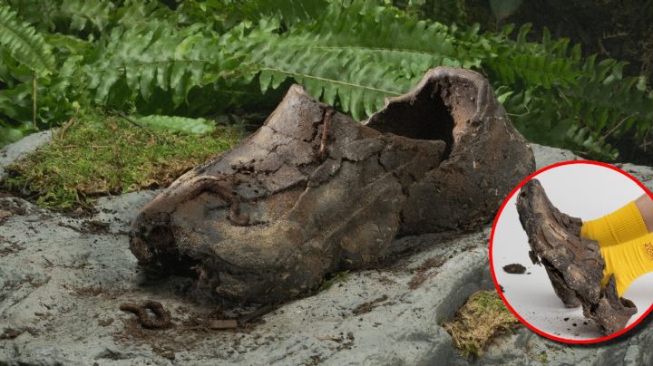 ¿Zapatos de tierra?, polémico artículo se vende en miles de dólares | VIDEO