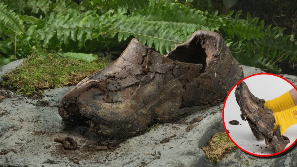 El concepto combina la moda con un mensaje potente: regresar más a la naturaleza de lo que tomamos