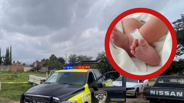 Encuentran a recién nacido en terreno baldío; perros se comieron parte de su cuerpo