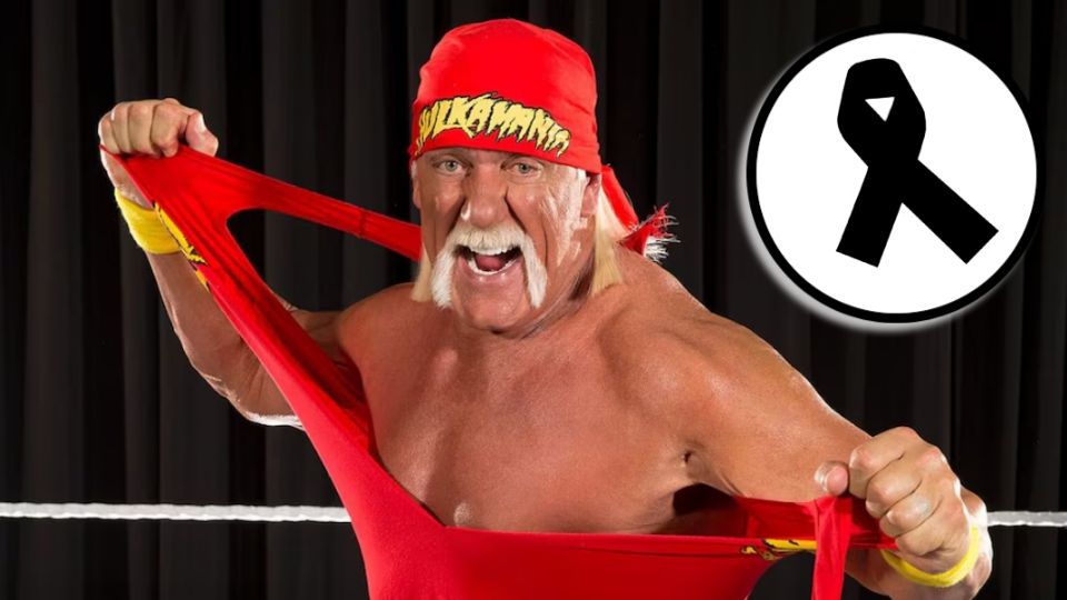 Tras derrotar al Iron Sheik en 1984, desató la Hulkamania, fenómeno que acercó el wrestling a niños, familias y que marcó la cultura pop por décadas