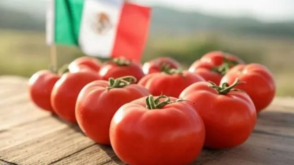 Aunque existe un arancel del 17.5% sobre el tomate fresco mexicano, su calidad, sabor y maduración en planta hacen que siga siendo el preferido en el mercado estadounidense