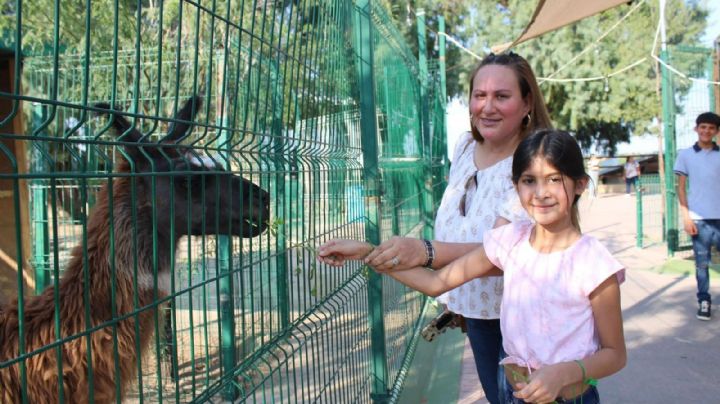 Zoológico de Nuevo Laredo abre sus puertas con actividades para todas las edades