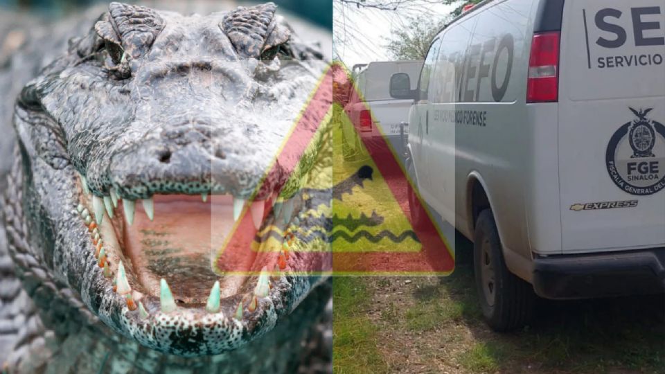 Hombre muere en Sinaloa