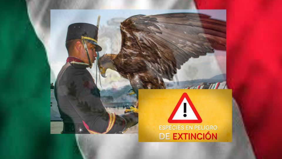 En peligro de extinción