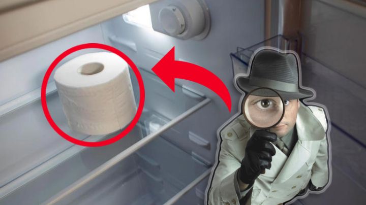 ¿Por qué deberías poner un rollo de papel higiénico en el refrigerador?