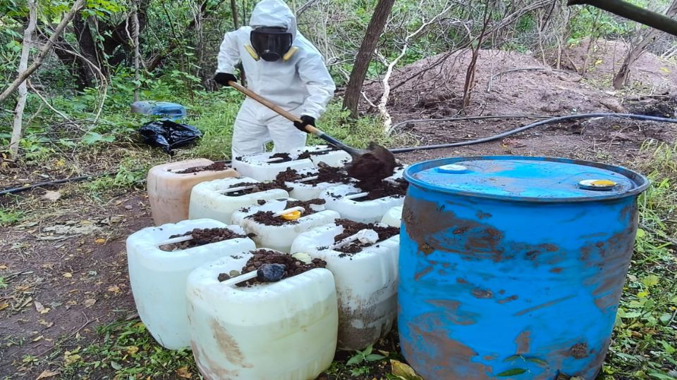 Acciones en contra del crimen organizado