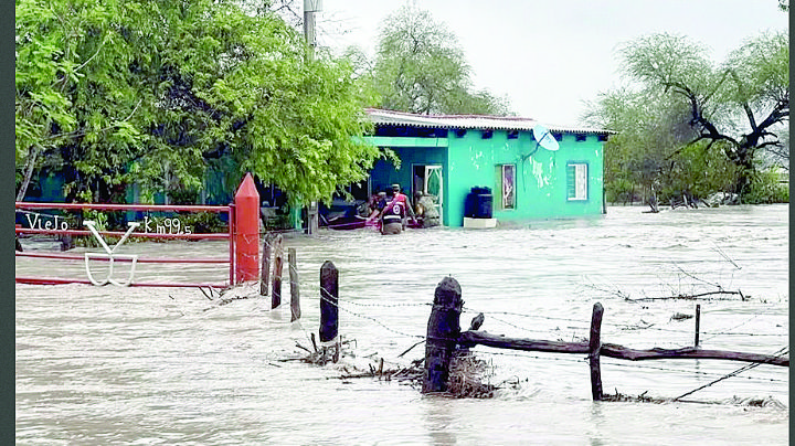 Sufre Tamaulipas estragos por Barry; Sheinbaum visitará zonas afectadas