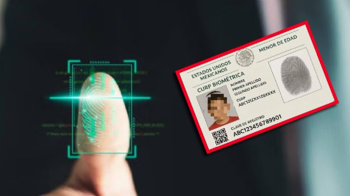 México estrenará CURP biométrica para menores: qué incluye y cómo tramitarla