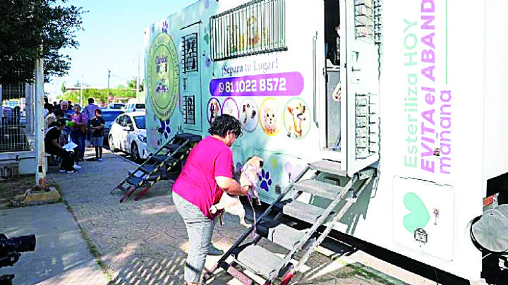 Nuevo Laredo: suman mil cirugías gratuitas para perros y gatos