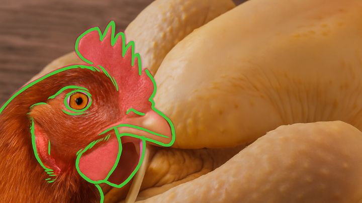 ¿Por qué el pollo en México es amarillo?; la razón podría sorprenderte
