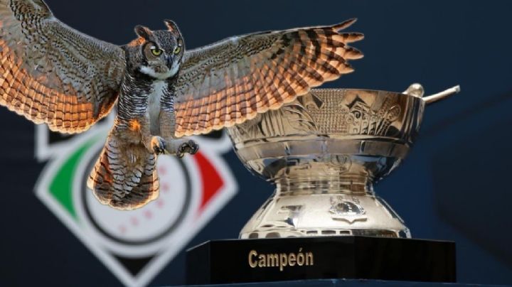 Tecolotes de los Dos Laredos; ¿peligra su pase a los playoffs en la LMB?