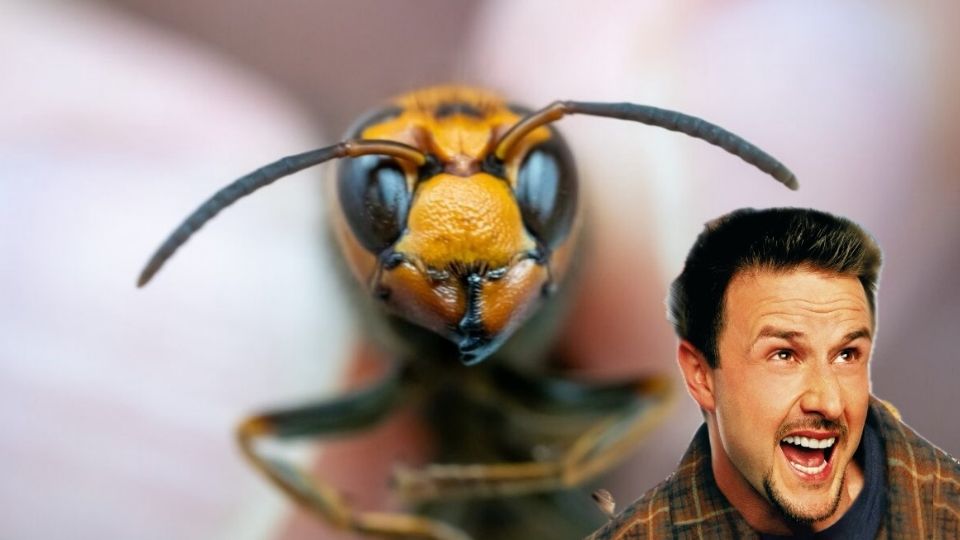 Avisas radiactivas en EU.