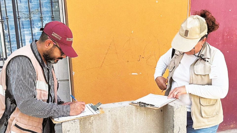 En una primera etapa del censo se estima visitar al menos 4 mil domicilios.