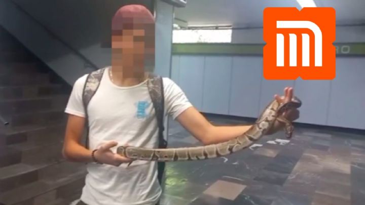 Joven viajaba en el Metro con una enorme serpiente; así fue detenido | VIDEO