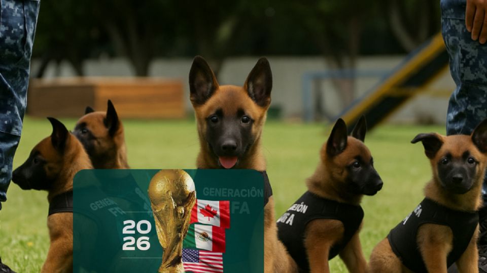 Listos para Mundial 2026