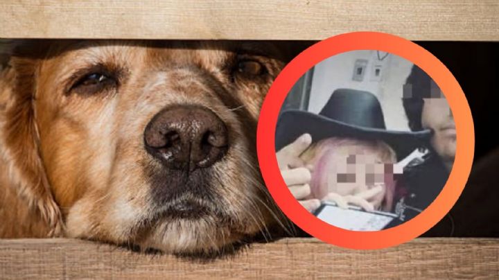 Arrestan en Nuevo León a pareja de adolescentes por matar a perrito y difundirlo en redes | VIDEO